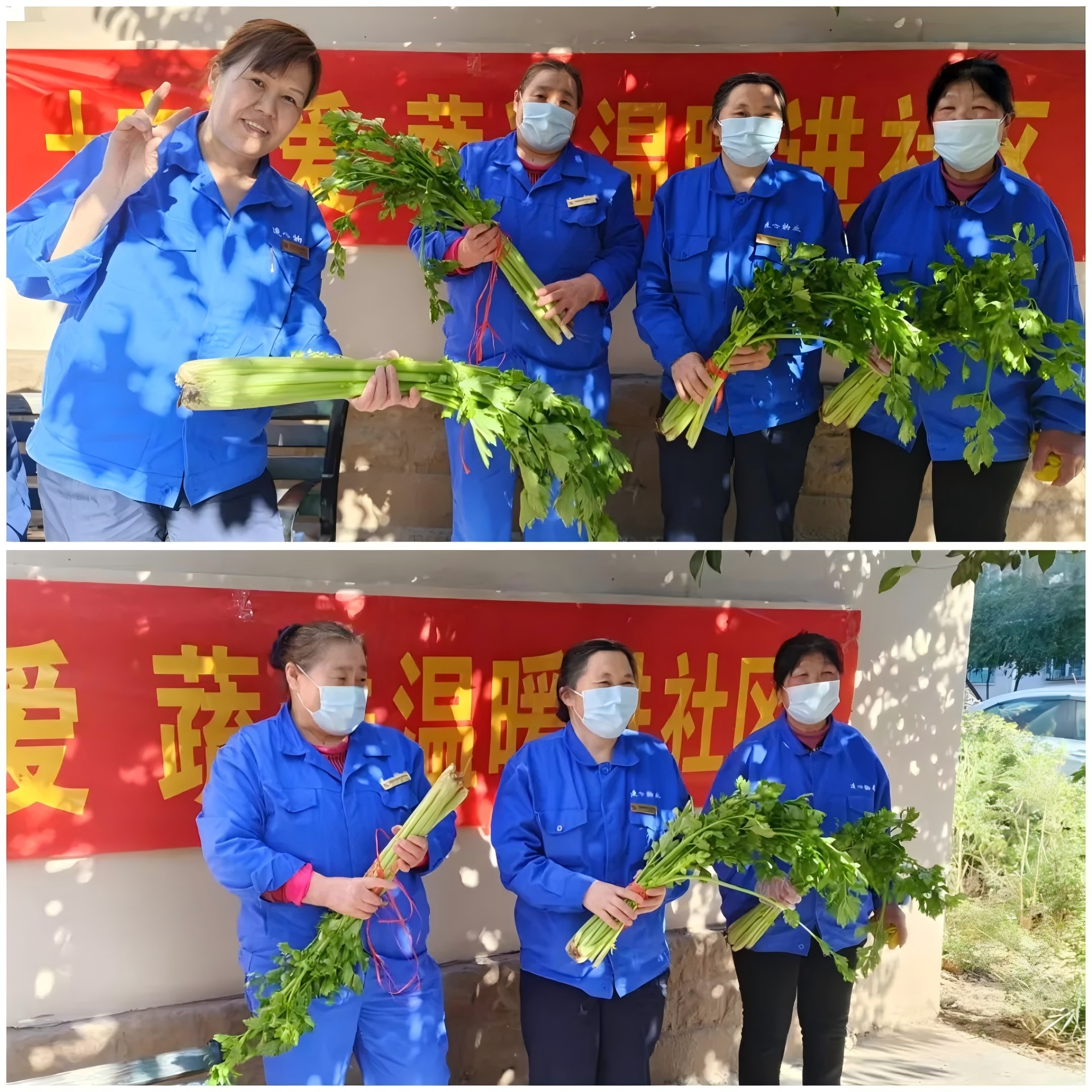 連心物業(yè)駐山東電力中心醫(yī)院項(xiàng)目部與社區(qū)聯(lián)辦“蔬菜送溫暖”活動(dòng)